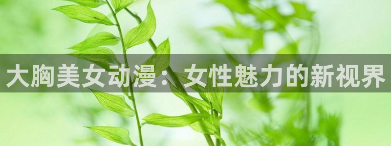 动漫岛盾之勇者成名录