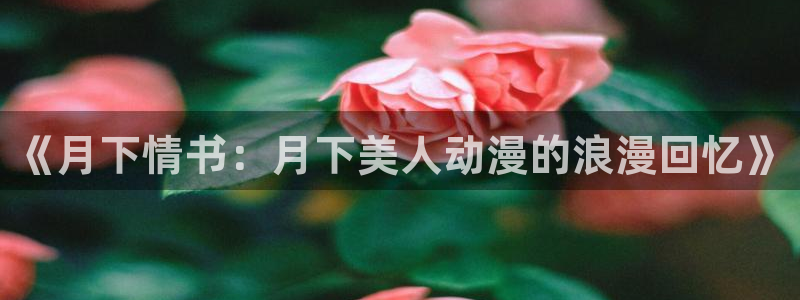 动漫岛啪漫